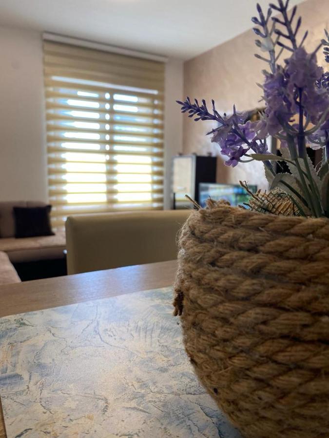 Zlatibor Hills Sky Apartment Екстериор снимка