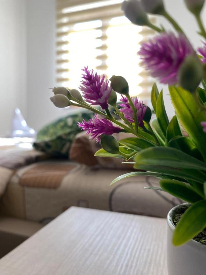 Zlatibor Hills Sky Apartment Екстериор снимка